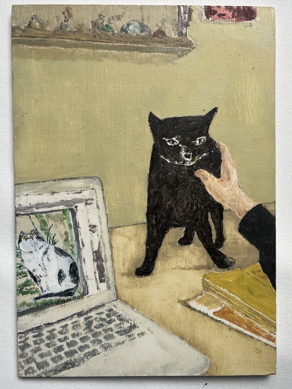 Thumbnail for Domesticated Cats