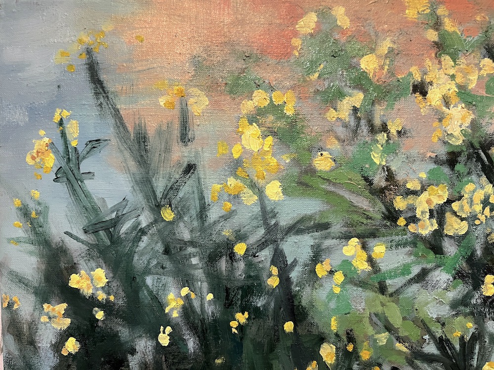 Needle leaves /  Gorse Shelter