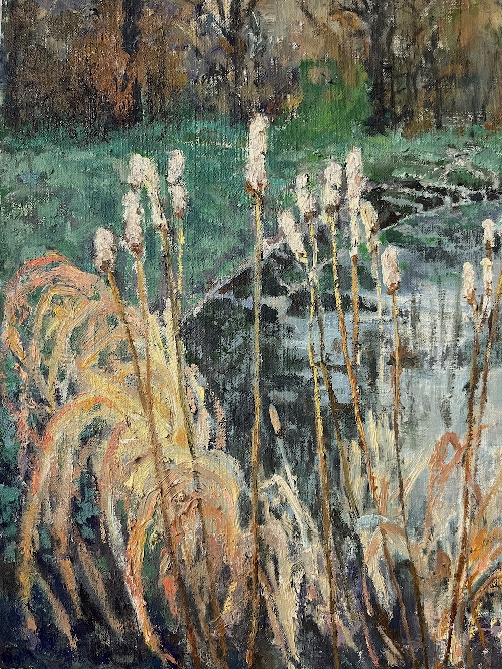 Wetlands